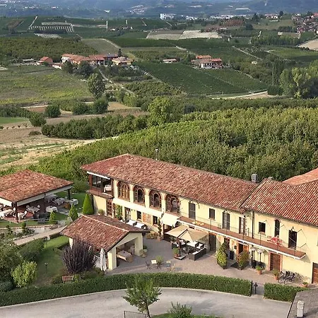 Il Vigneto *
